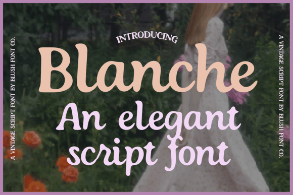 Blanche: Elevate Your Designs with Vintage Script Elegance